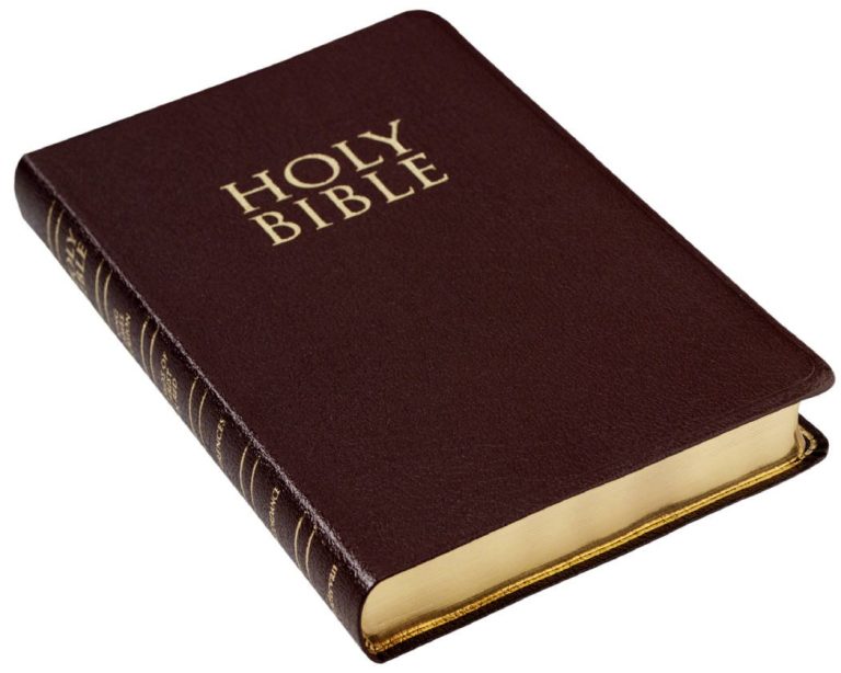 "Holy" Bible : An encyclopedia of errors, fables, contradictions and assassination of characters