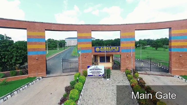 MUSLIM COMMUNITY CALLS FOR BOYCOTT AGAINST ADELEKE UNIVERSITY, EDE, OSUN STATE
