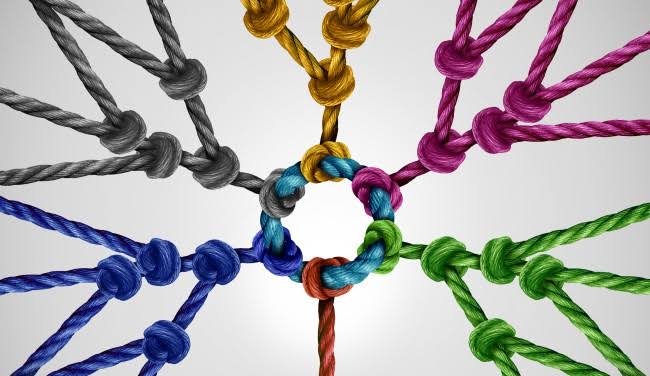 Systemic Foolery By Bashir Lucas Samson Lukman