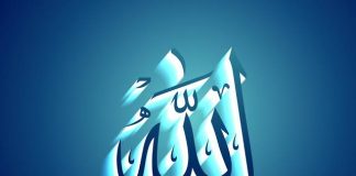 A Heart Touching Poem about the Care of Allah towards us