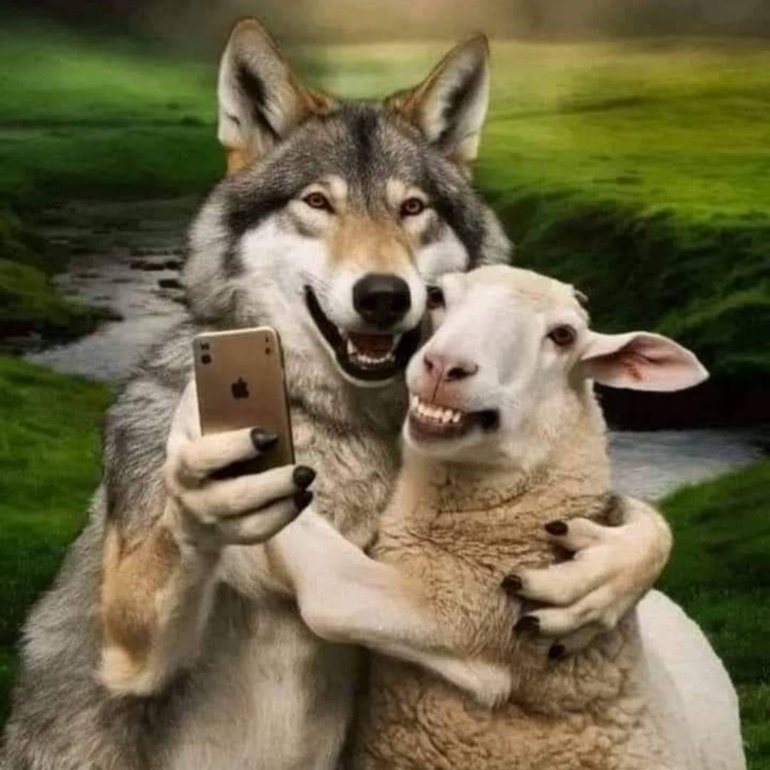 Wolves, Sheep and Shepherds: The Distractions of the Olympics of Victimhood Among Muslims and Christians in Nigeria By Sheikh Nuruddeen Lemu Wolves, Sheep and Shepherds: The Distractions of the Olympics of Victimhood Among Muslims and Christians in Nigeria By Sheikh Nuruddeen Lemu